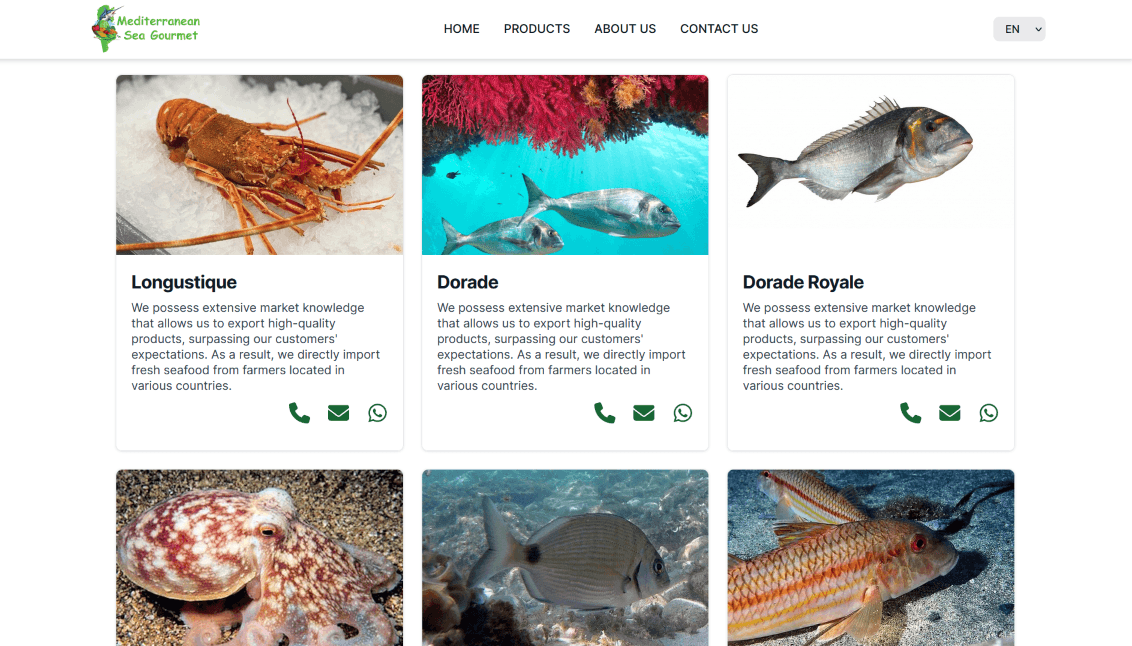 Design and Development of a Website for MSG